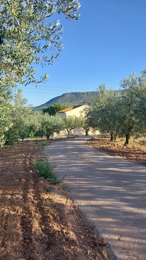 Casa Rural Cal Marti El Pla de Manlleu Eksteriør bilde
