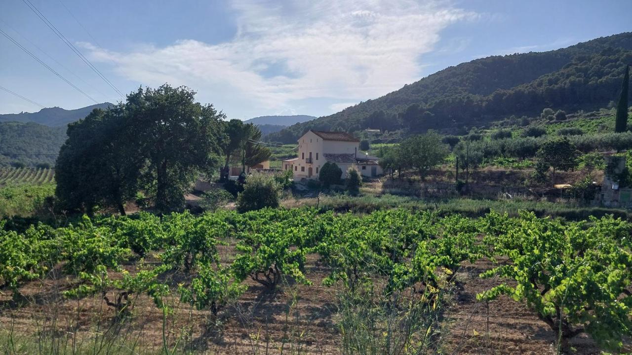 Casa Rural Cal Marti El Pla de Manlleu Eksteriør bilde