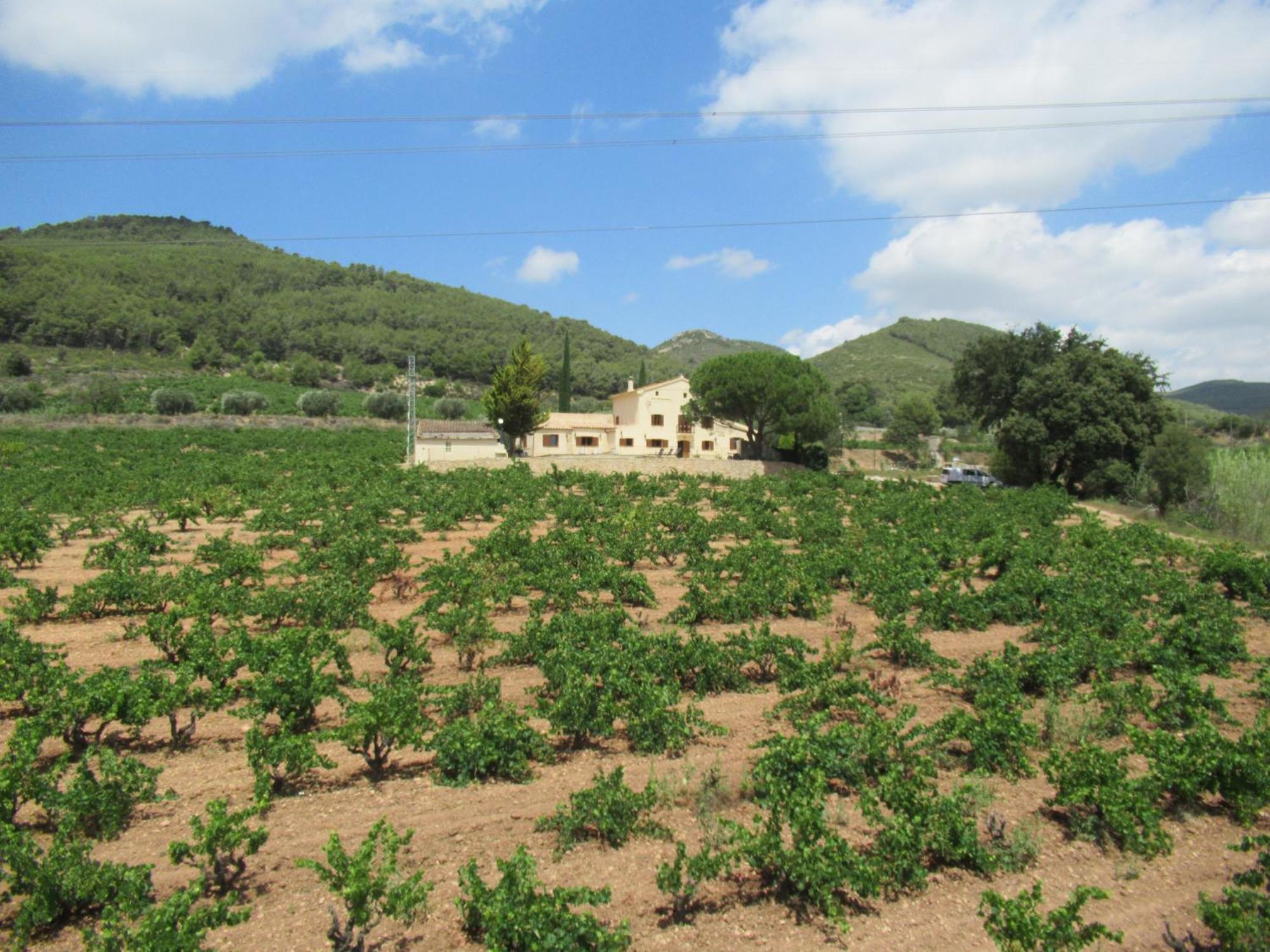 Casa Rural Cal Marti El Pla de Manlleu Eksteriør bilde