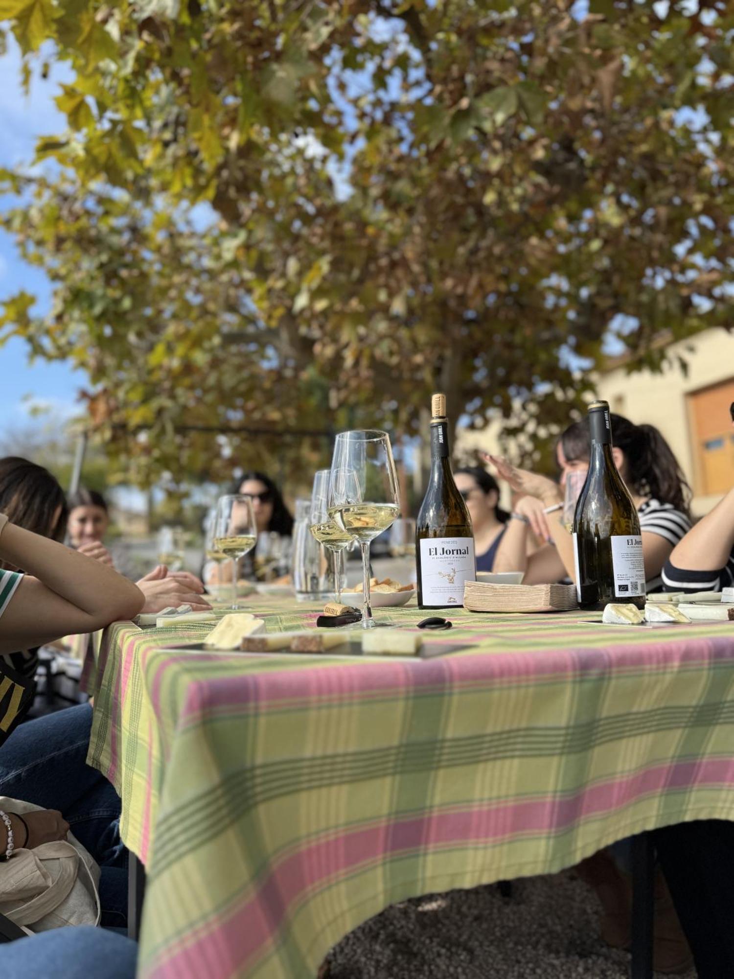 Casa Rural Cal Marti El Pla de Manlleu Eksteriør bilde
